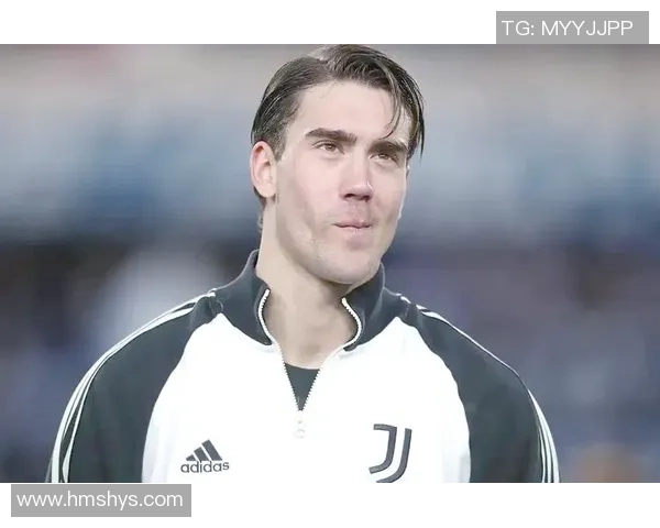 弗拉霍维奇:从新星崛起到足球巨星的奋斗历程与未来展望