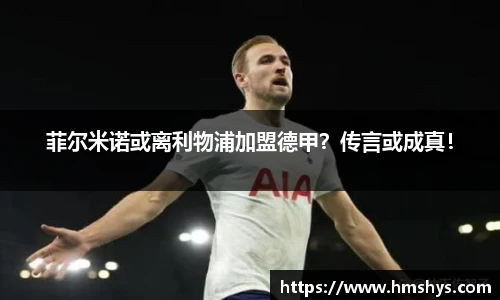 im电竞在线登录