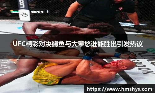 UFC精彩对决鳄鱼与大攀悠谁能胜出引发热议